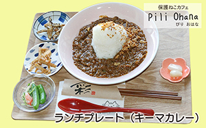 保護猫カフェ Pili Ohana