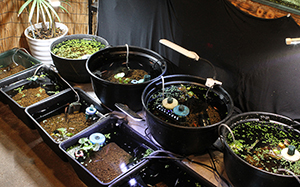 百翔茶屋 喜古里