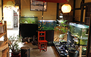 百翔茶屋 喜古里