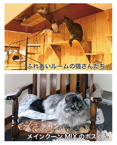 Pili Ohanaふれあいルーム